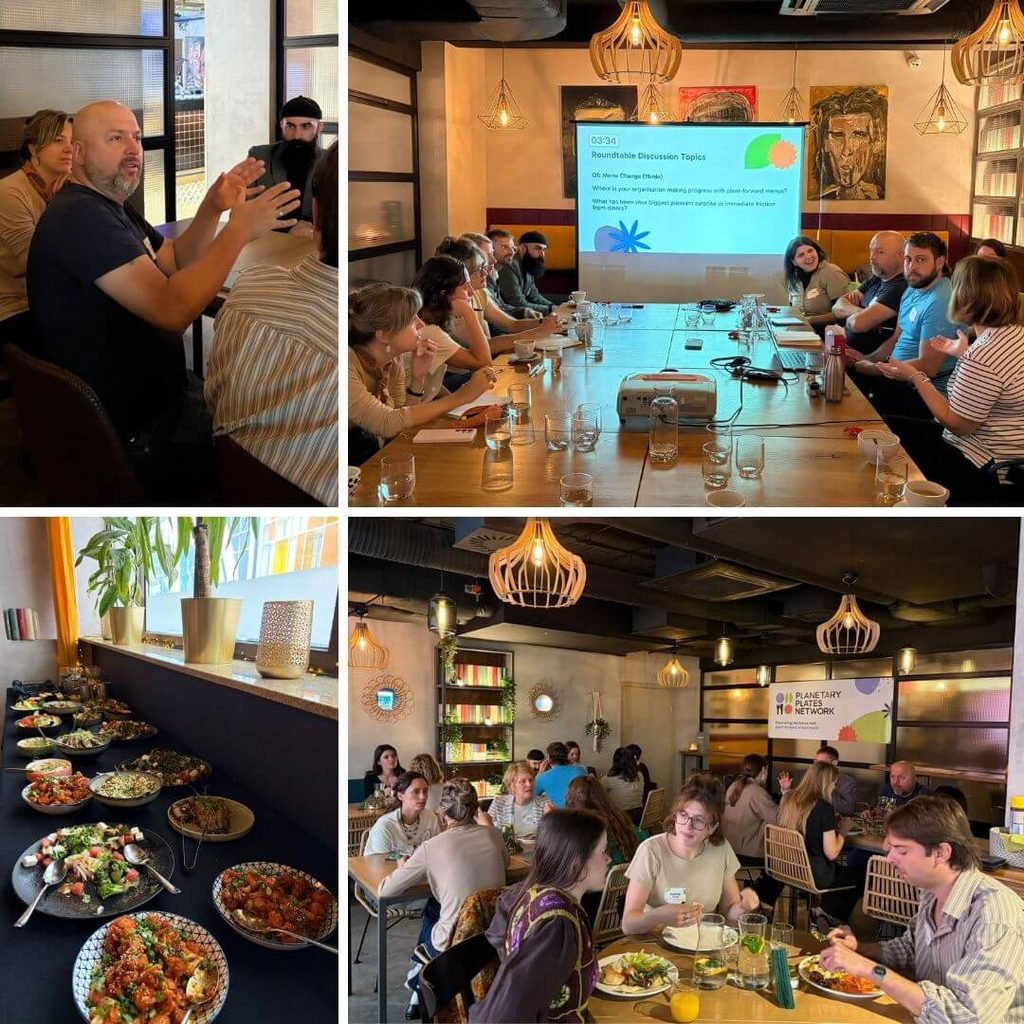 Before the opening of the conference, we also participated in a related professional meeting with the members of the Planetary Plates Network.